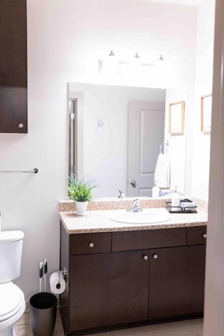 Amplify Spaces 1 And 2 Bedroom Apartments, Downtown Birmingham, Uab Zewnętrze zdjęcie